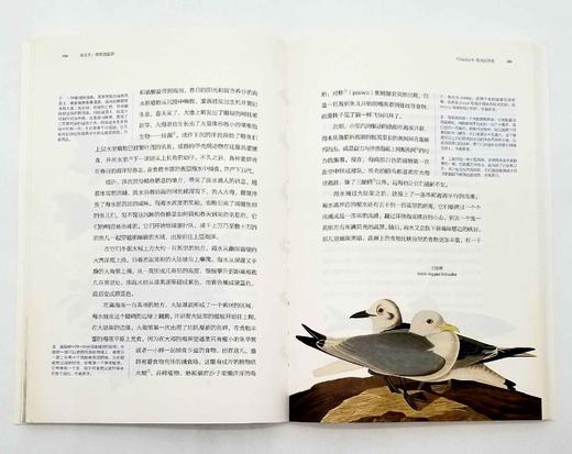 《博物图鉴》6册，定价434，售价118 商品图8