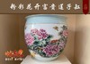 粉彩花开富贵莲子缸 商品缩略图0