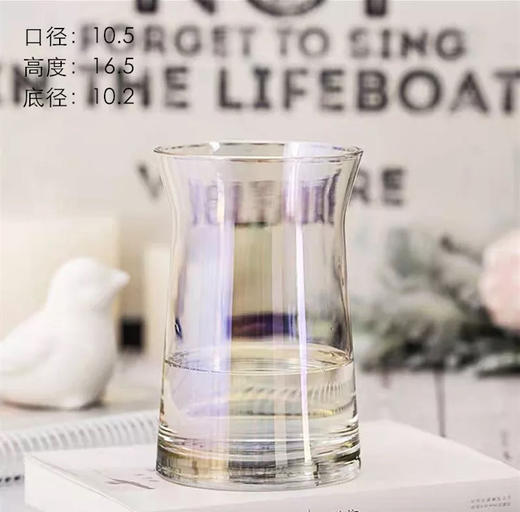 ins网红办公室花瓶北欧创意大口矮胖宽口向日葵花瓶水养玻璃透明 商品图7