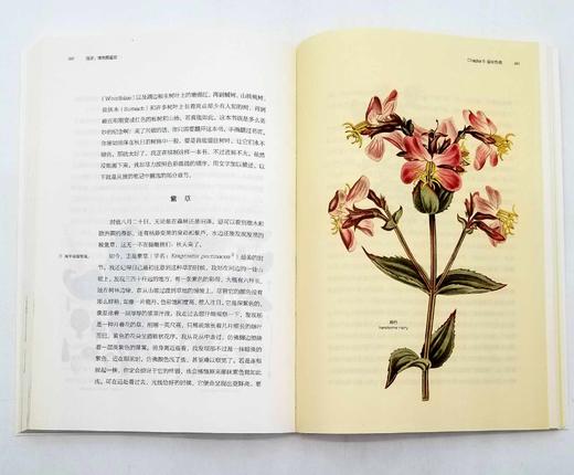 《博物图鉴》6册，定价434，售价118 商品图4