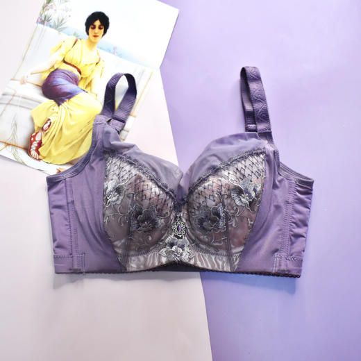 【秒杀品不退不换】皇家丽美薄杯大胸显小软钢圈收副乳文胸WJ1677-1 商品图2