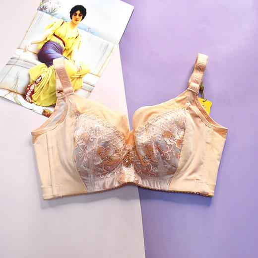 【秒杀品不退不换】皇家丽美薄杯大胸显小软钢圈收副乳文胸WJ1677-1 商品图1