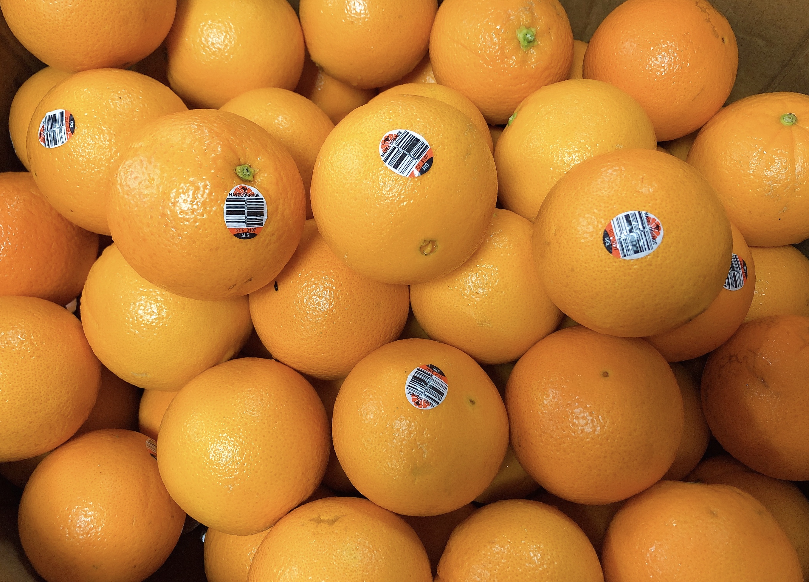 澳洲甜橙12颗份来自澳洲的美味橙橙味浓郁果肉细腻汁水十足约230g颗