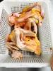 农家鸡母鸡、童子鸡 商品缩略图1