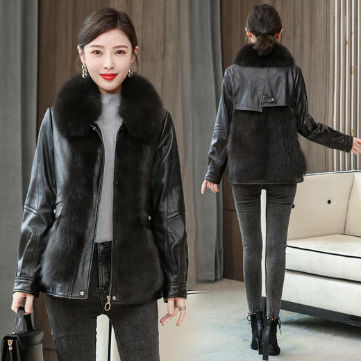 TC  2313狐狸毛皮草外套短款小个子真皮绵羊皮皮衣 商品图3