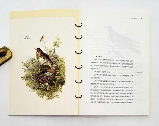 《博物图鉴》6册，定价434，售价118 商品图14