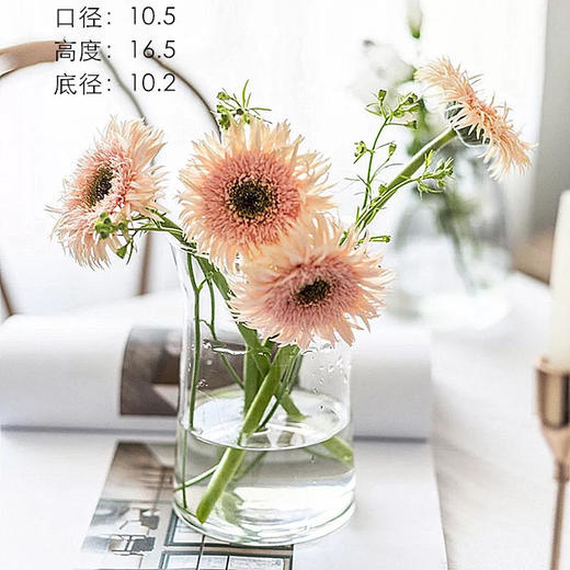 ins网红办公室花瓶北欧创意大口矮胖宽口向日葵花瓶水养玻璃透明 商品图5