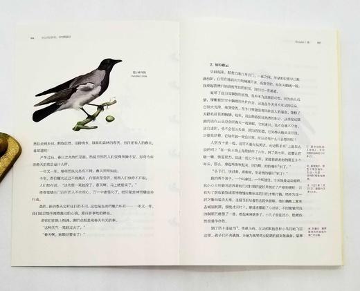 《博物图鉴》6册，定价434，售价118 商品图13