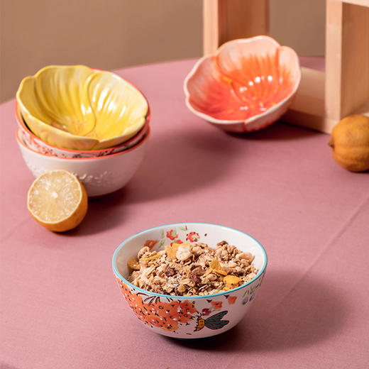 JOYYE卓艺套2花园饭碗TFB0119245单个5英寸汤碗大号ins风陶瓷碗家用甜品碗礼盒套装 商品图3