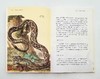 《博物图鉴》6册，定价434，售价118 商品缩略图9
