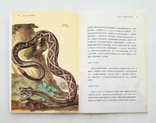 《博物图鉴》6册，定价434，售价118 商品图9