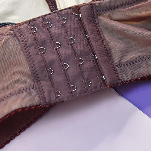 【99元2件，下单拍2！】皇家丽美中厚杯小胸显大记忆钛圈聚拢调整型文胸WJ1F1366-2 商品图5