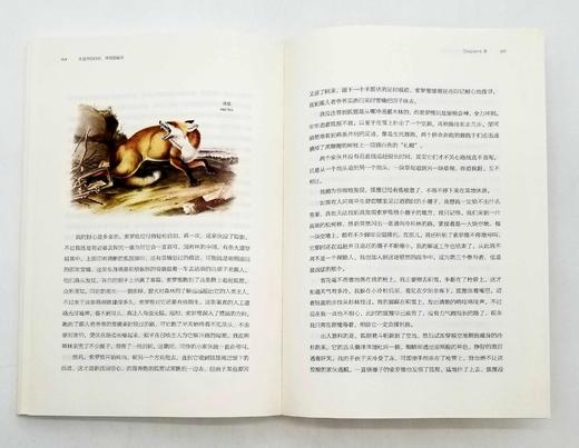《博物图鉴》6册，定价434，售价118 商品图11