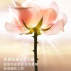 法国 Dior迪奥 花秘瑰萃玫瑰微凝珠赋活精华 30ml 商品缩略图5