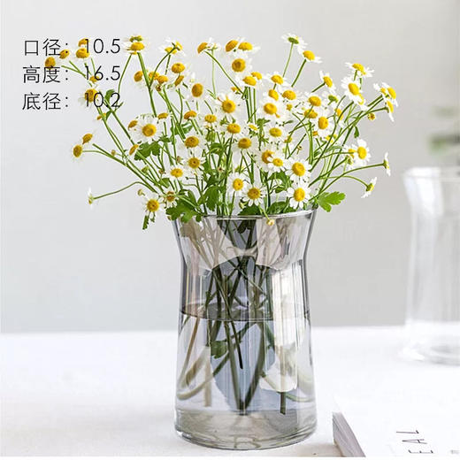 ins网红办公室花瓶北欧创意大口矮胖宽口向日葵花瓶水养玻璃透明 商品图6