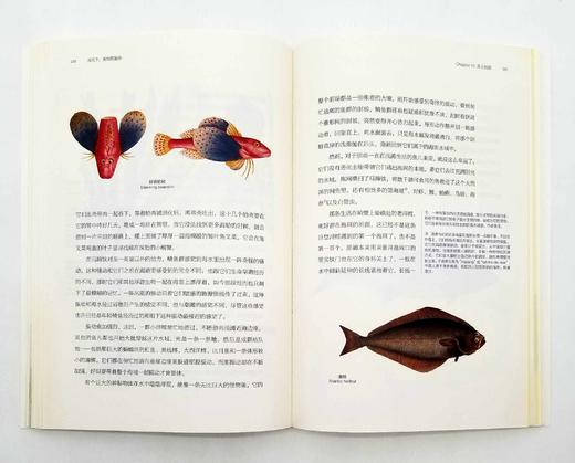 《博物图鉴》6册，定价434，售价118 商品图7