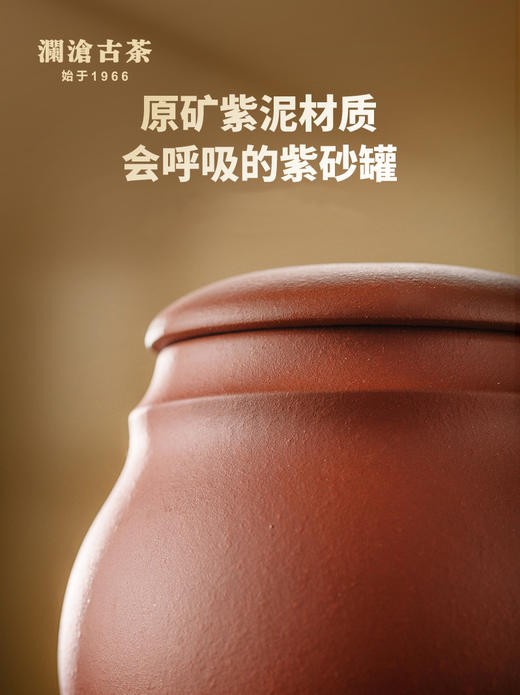 澜沧古茶茶具【葫芦紫砂醒茶小罐】生茶熟茶通用茶叶罐可装撬散茶叶约50g~80g 商品图1
