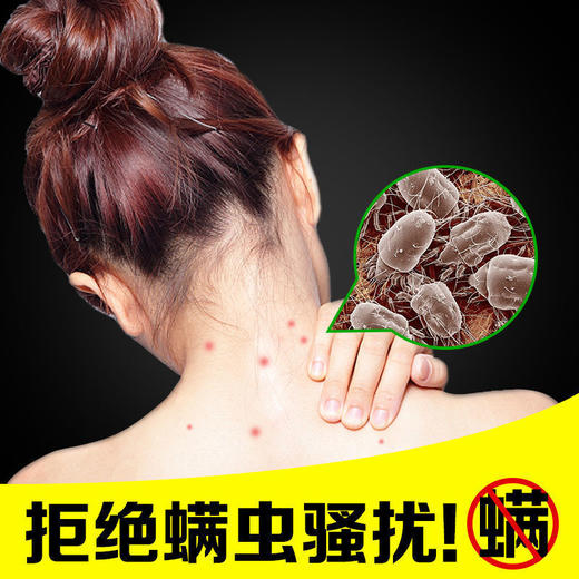 买2送1【南京同仁堂草本祛螨包】将螨虫一网打尽！长效除螨，0毒安全，孕婴可用！除螨包一盒/10袋，家用艾草除螨包防螨虫 商品图1