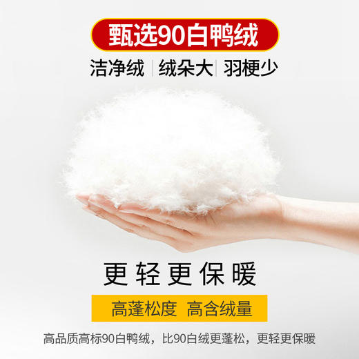 一口价【新款DK】大依优型大码立领轻薄羽绒服大号外套休闲胖子穿大码男加肥加大胖子上衣 商品图6