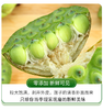 吉顺号优选食材 当季现采通心大白莲 湘莲 无芯莲子500g/袋真空包装 商品缩略图4