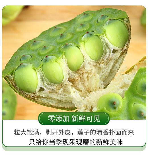 吉顺号优选食材 当季现采通心大白莲 湘莲 无芯莲子500g/袋真空包装 商品图4