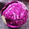 赞字村紫甘蓝（±50g/份） 商品缩略图0