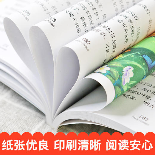 国际大奖全套8册 儿童文学7-8-9-10-12-15岁读物三四年级小学生课外阅读书籍五六年级必读青少年故事书经典名人传记居里夫人的故事 商品图4