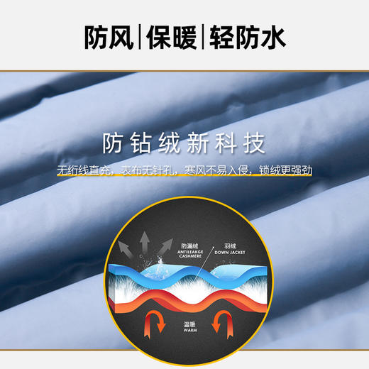 一口价【新款DK】大依优型大码立领轻薄羽绒服大号外套休闲胖子穿大码男加肥加大胖子上衣 商品图8