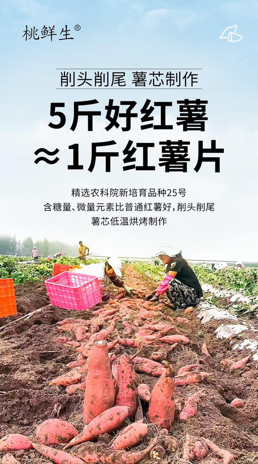 桃鲜生酥脆红薯片——比薯片好吃健康N倍的小零食。一级品质，5斤好红薯≈1斤红薯片👍低温烘烤超好吃，没有任何添加剂😍还原红薯原有的自然香味钱 商品图3