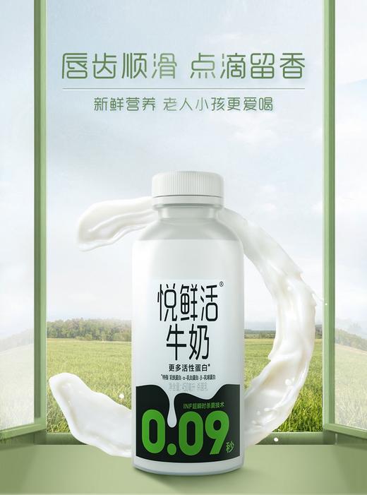 【周年庆抢先团 低价一促即发】美丽市场超市-君乐宝悦鲜活鲜奶450ml（默认2个装数量拍1）提货时间：10/29-10/31） 商品图0