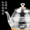 卡屋煮茶器  HZJ−A20   自由调温 商品缩略图2