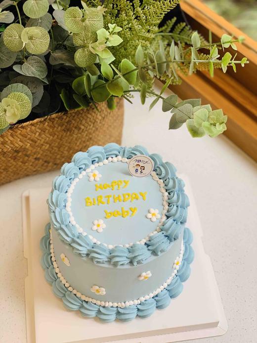 简洁小清新奶油蛋糕 下单前请仔细阅读商品详情 商品图0