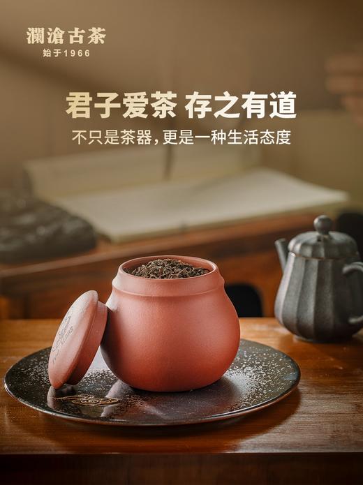 澜沧古茶茶具【葫芦紫砂醒茶小罐】生茶熟茶通用茶叶罐可装撬散茶叶约50g~80g 商品图4