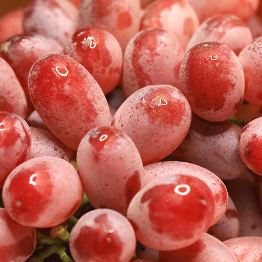 山西特产｜妙脆暗香无核葡萄超级甜2斤送半斤顺丰包邮 商品图1