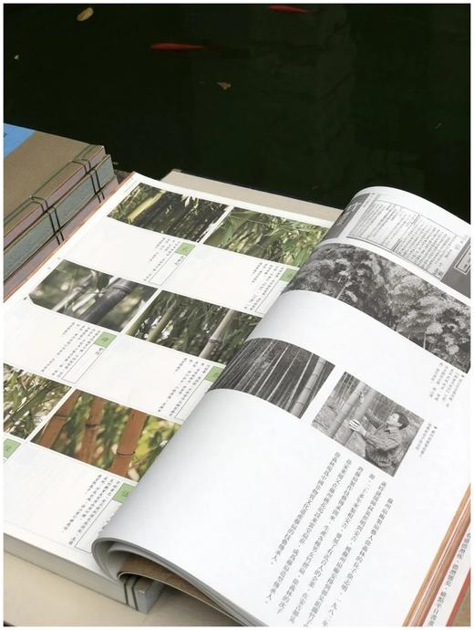 《怀袖雅物:苏州折扇》线装5册，8开 商品图5