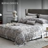 ROYALCOVER/罗卡芙120S意大利进口全棉长绒棉提花四件套 德尔斐 商品缩略图0