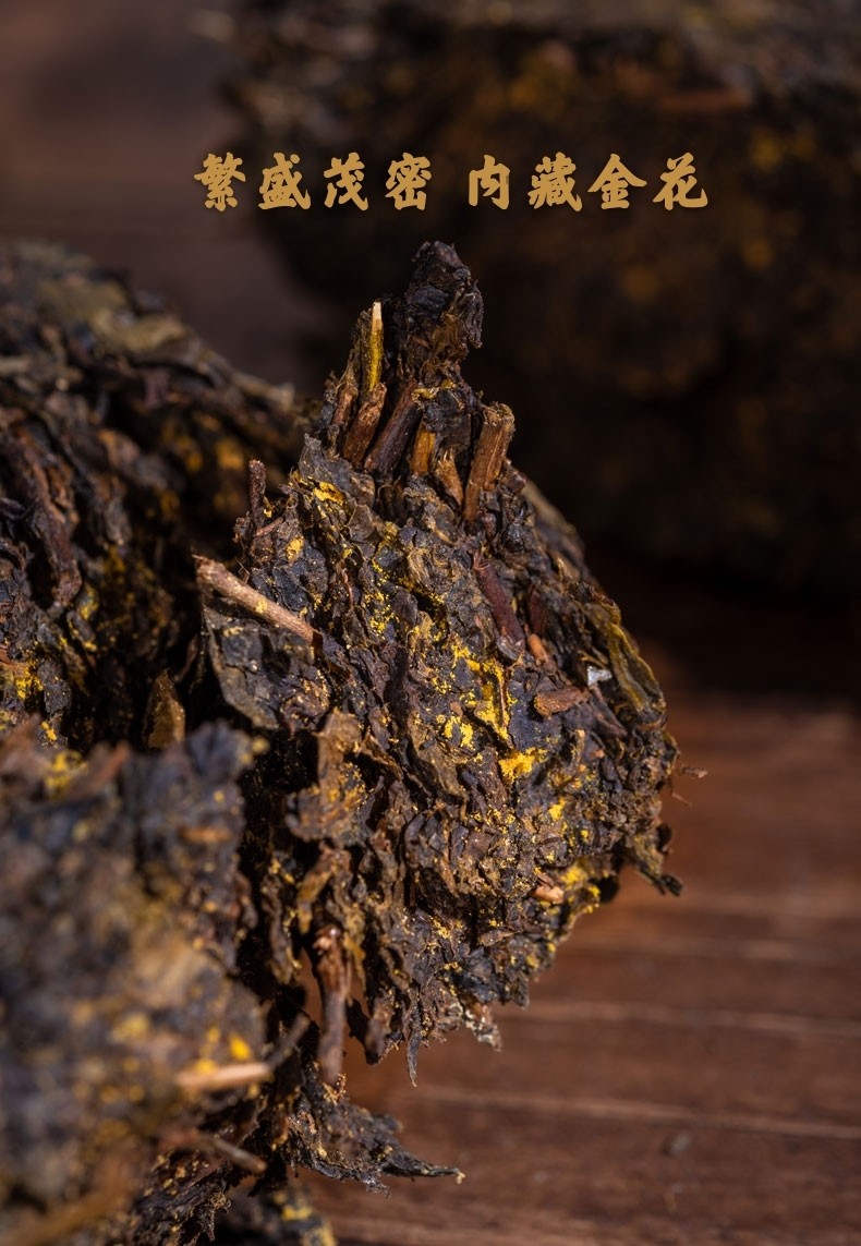 伊辉精选泾阳金花茯茶陕西官茶400克陕西西特产