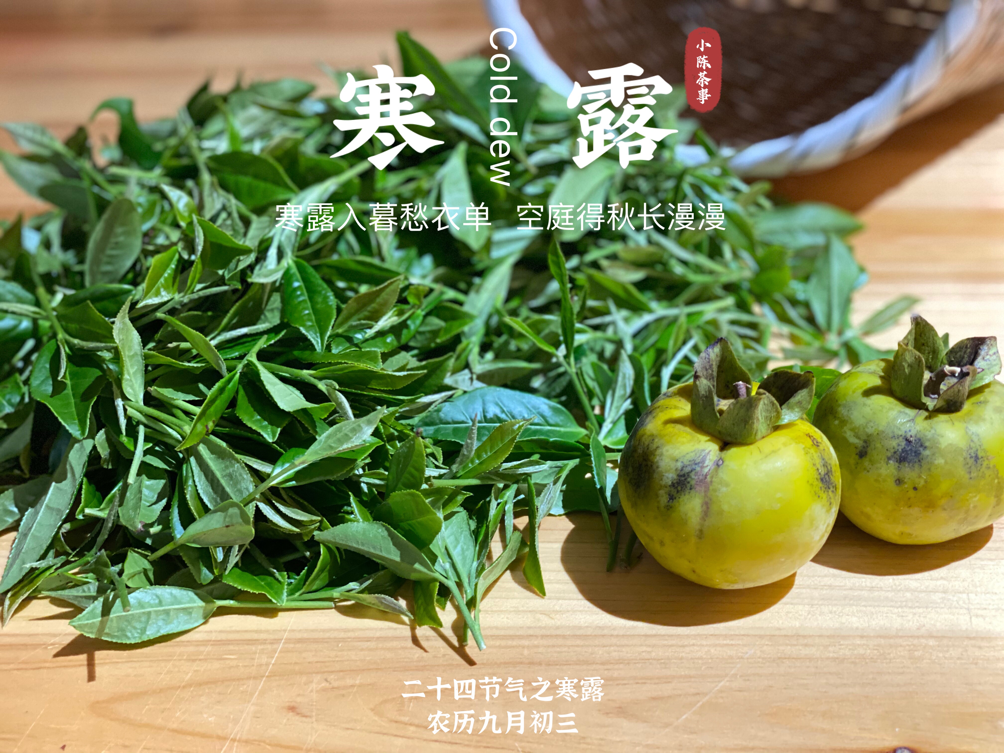 2021寒露茶60克罐装素雅若九秋菊莹莹似月中之月