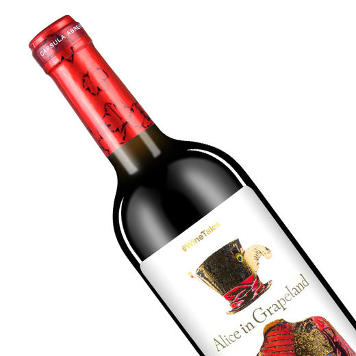 【优惠好物】爱丽丝干红葡萄酒750ml*6 商品图3