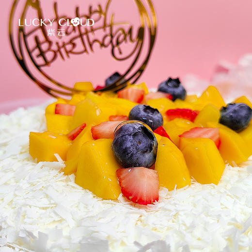 水果款丨白森林蛋糕 商品图3