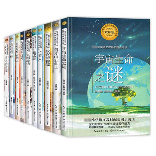 全套10册 六年级课外书必读经典正版上下册同步教材 花之歌狼牙山五壮士竹节人书宇宙生命之谜故宫博物院爸爸的计划有的人京剧趣谈 商品图4
