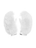 Goldbergh - HILL mittens Real Coyate and Fox Fur - White - 女装 - 滑雪手套 - 白色 商品缩略图0