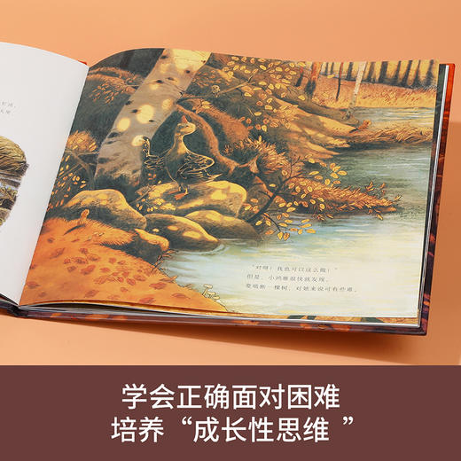 乐乐趣四季之歌系列绘本《小鸿雁的秋天》 商品图2