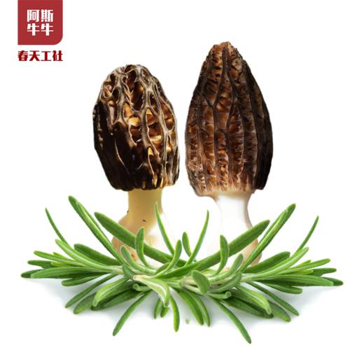 【品质精选】新鲜羊肚菌1斤/2斤装 商品图5