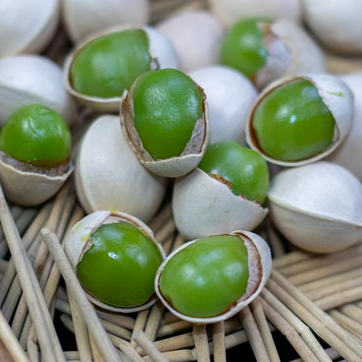 云南腾冲新鲜老品种带壳糯白果银杏果 商品图6