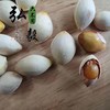 六不用 白果 银杏果(鲜) 一斤装 【弘毅六不用生态农场】 商品缩略图1