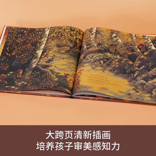 乐乐趣四季之歌系列绘本《小鸿雁的秋天》 商品图3