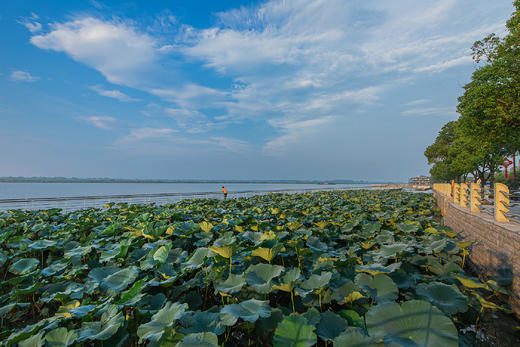 小红书| ￥568起/2间夜！入住【湖州开元名庭度假酒店】享园景房、自助早餐~赏秀美自然风光！另有¥298起单晚套餐可选 商品图5