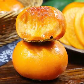 十八度果缘 脆柿