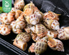 东山岛鲜活旺螺（约250g/份 约30个） 商品缩略图1